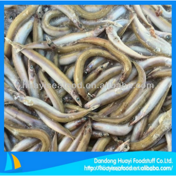 frozen sand lance good supplier perfect exporter fresh food